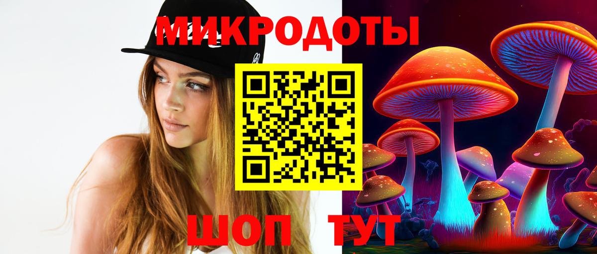 Псилоцибиновые грибы Psilocybe Шадринск