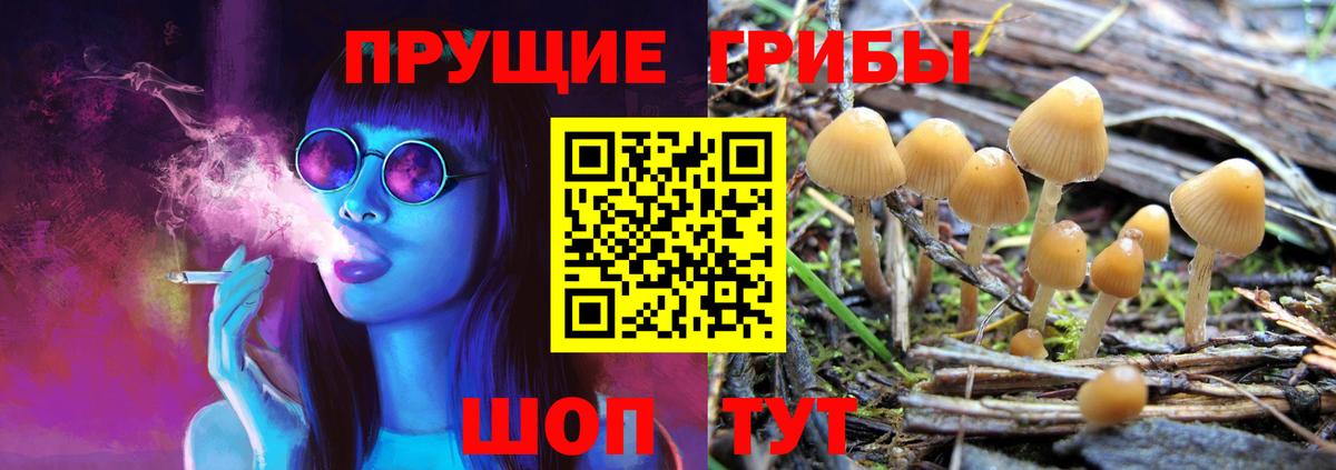 Шадринск  Галлюциногенные грибы Psilocybine cubensis  Псилоцибиновые грибы MAGIC MUSHROOMS  Вход с VPN 